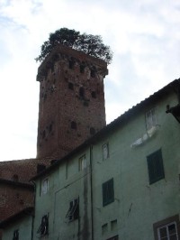 Lucca: Torre Guinigi