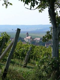 Horní Věstonice: Malebná vinařská obec ležící na západním úpatí Pálavy. www.mikulovskoregion.cz 