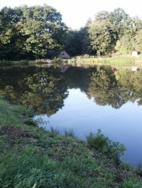 Votické rybníky: Rybník Pilař