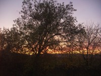 Poustka - okolní příroda při západu slunce