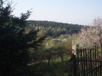 Poustka - příroda na jaře