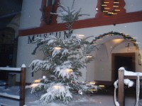 Zasněžený vánoční stromek