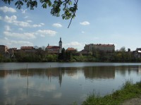 Mlýnský rybník: V pozadí kostel. sv. Petra a Pavla a ozdravovna Olivovna.
