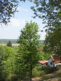 Kostelec nad Černými lesy: Výhled od zámku.