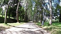 Slavonická cesta pohádkovým lesem