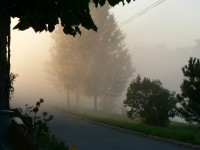 ranní mlha