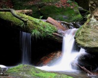 SÍLA ČESKÝCH VODOPÁDŮ- nejkrásnější vodopády a kaskády České republiky