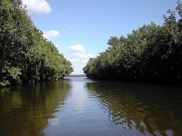 kanal: Florida,NP Evergland
