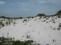 pisek: Long Island,Jones Beach