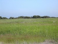 krajina: Long Island,Jones Beach