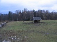 park: bialowjejski park narodowy