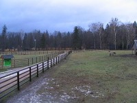 Bialowjejski park narodowy