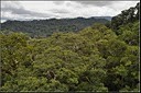 N.P: Temburong