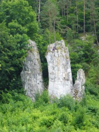 Sloupsko-šošůvské jeskyně-prostor před