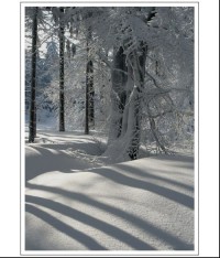 Zima v Českým Lese - Domažlicko