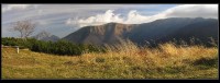 Malá Fatra: Velký Rozsutec vykukuje (v sedle za Kraviarskym - 1230 m.n.m.)