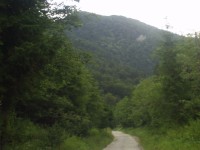 tohle je cesta Necpalskou dolinou k chatě