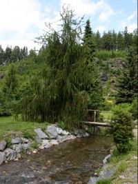 Arboretum Sedloňov