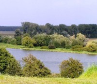 Kostický rybník: Jeden z posledních pohledů od Lanžhota na Kostický rybník  
