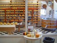 Zaanse Schans - výroba sýrů Catharina Hoeve