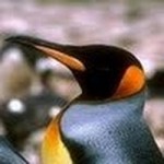 fotka uživatele libuna777