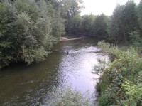 Řeka Morava u Bludova