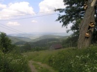 Góry Bystrzyckie