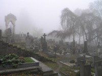 Hřbitov: I hřbitov se stylovou mlhou je tady v kopci!