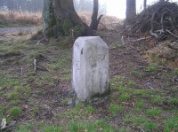 Historický hraniční kámen z r.1752: Připomíná, že zde se stýkala tři panství - Kralické, Lanškrounské a Kyšperské (dnešní Letohrad).