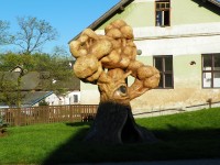 Strom – Olšiakova socha v Poděšíně