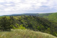 Mohelenská hadcová step