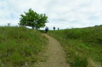 Mohelenská hadcová step