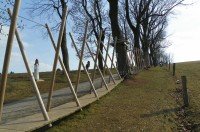 Pohádková alej a dětský lanový park v Bystřici nad Pernštejnem