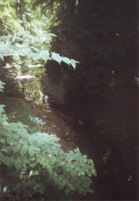 Buchlovický potok: teče  přes zámeckou zahradu