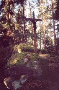 Kříž v lese.: Kříž v lese nad Cukovou 2 km na východ od obce v přírodní rezervaci Buděticko.