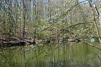 Lenčovský rybník