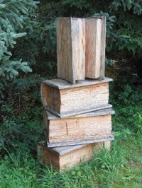 Arboretum Křtiny: Dřevořezby, instalované v arboretu