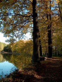 Třeboňsko (CHKO): rybník Hluboký