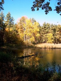 Třeboňsko (CHKO): rybník Hluboký