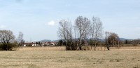 Přírodní rezervace Luňáky - březen 2014