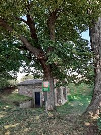 kaple a památné stromy