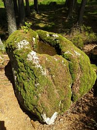 skalní mísa pod Pohanskými kameny