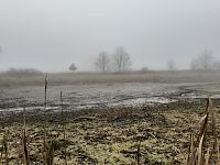 vypuštěný rybník Čertův hrad v mlze