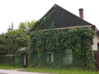 Hnojice: Zelení obrostlý domek