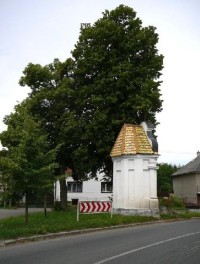 Hnojice: Kaplička sv. Floriána při vjezdu do obce od města Šternberk