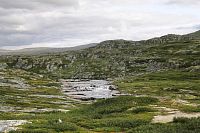 Náhorní plošina Hardangervidda 02