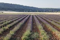 139 Výlet z Roussillonu na obce Sault a Banon