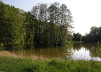Tichá rekreační oblast u rybníka asi 300 m od tvrze.