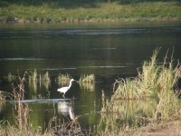 Loira u Chateauneuf sur Loire