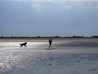 Cestou z Utah Beach - život pláže